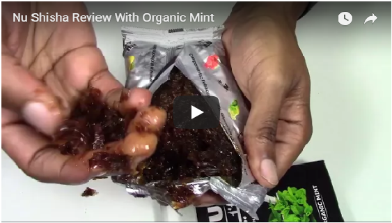 NU Organic Mint Review by Hookah-Shisha